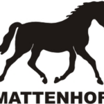 Stall Mattenhof