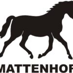 Stall Mattenhof
