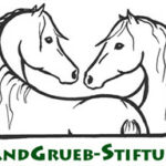 Sandgrueb-Stiftung