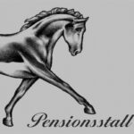 Reit- & Pensionsstall Lohnmoos