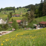 Reitschule Teufelsbrücke Laura Ochsner