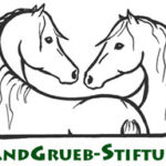 Sandgrueb-Stiftung